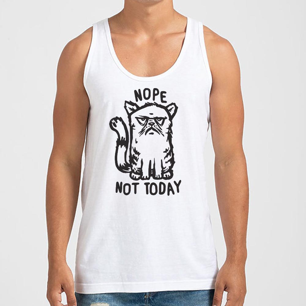 Nope Cat Not Today. Grumpy Cat Saying No