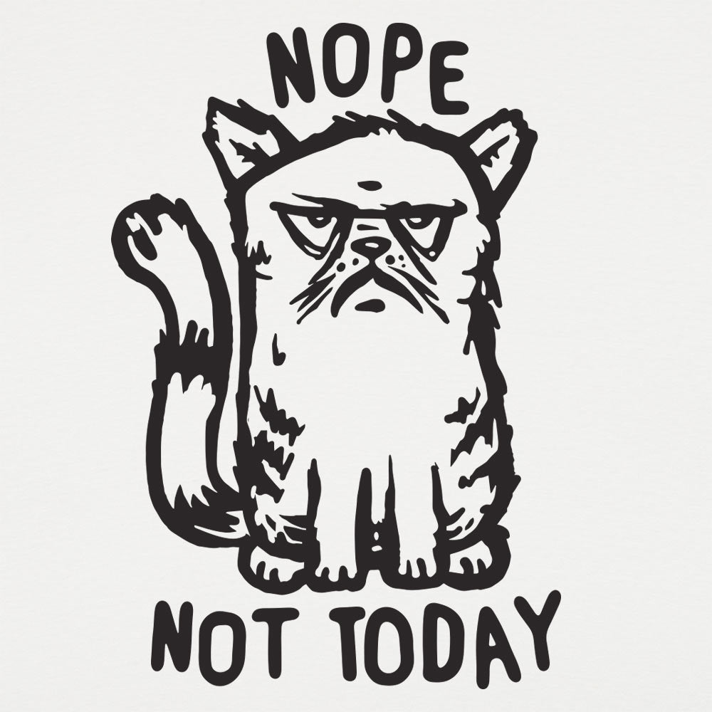 Nope Cat Not Today. Grumpy Cat Saying No
