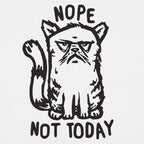 Nope Cat Not Today. Grumpy Cat Saying No