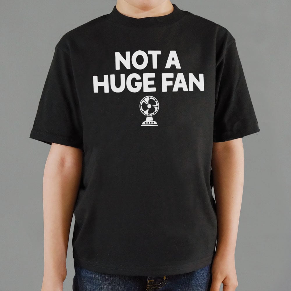 Not A Huge Fan Small Electric Fan Pun