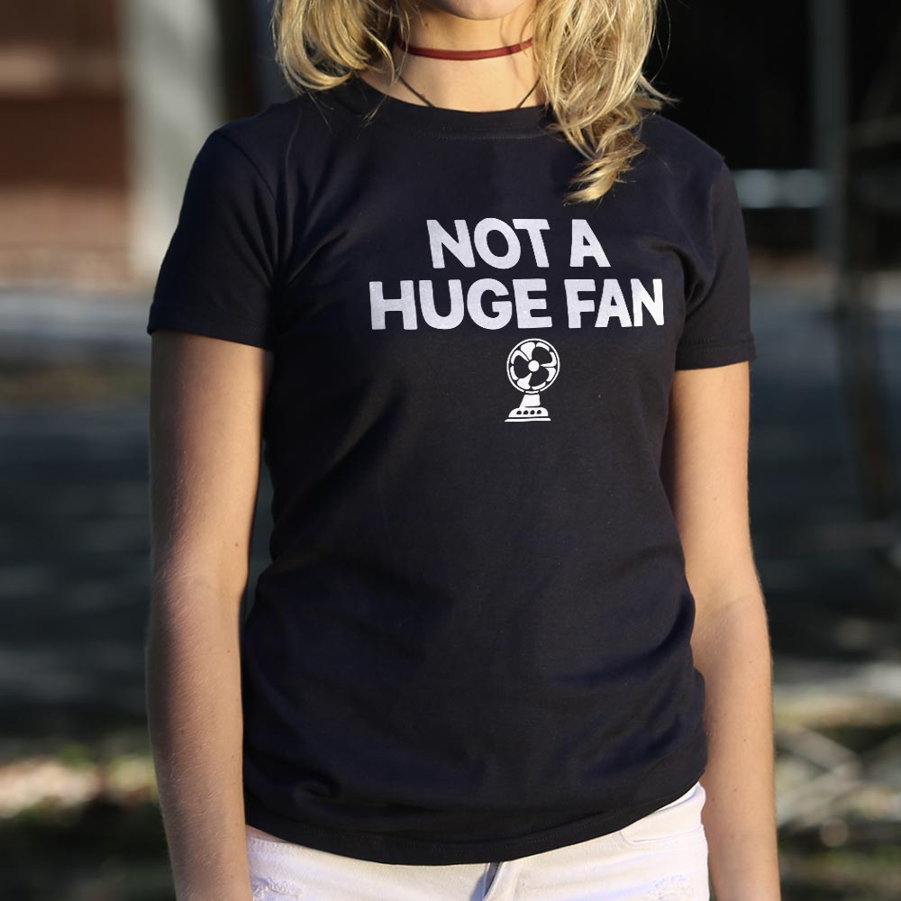 Not A Huge Fan Small Electric Fan Pun