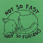 Not So Fast Not So Furious Sleeping Cat
