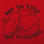 Not So Fast Not So Furious Sleeping Cat