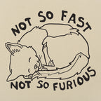 Not So Fast Not So Furious Sleeping Cat