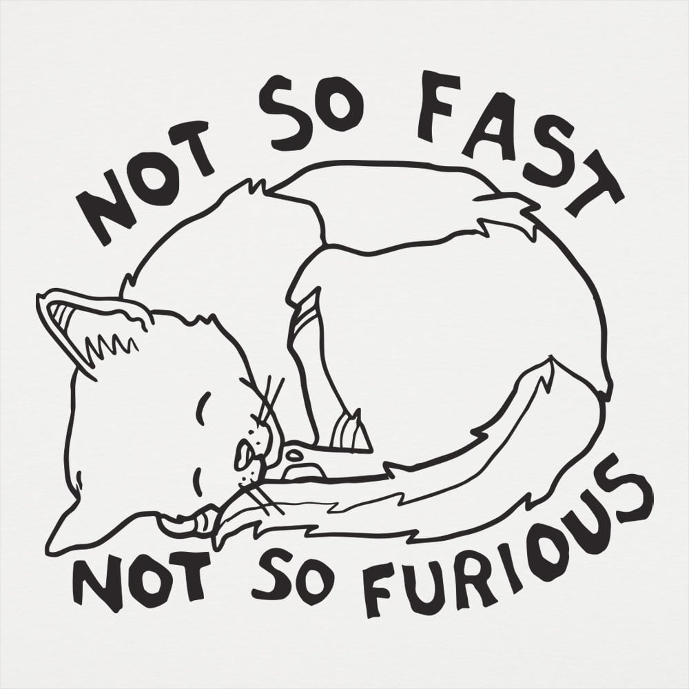 Not So Fast Not So Furious Sleeping Cat