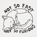 Not So Fast Not So Furious Sleeping Cat