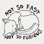 Not So Fast Not So Furious Sleeping Cat
