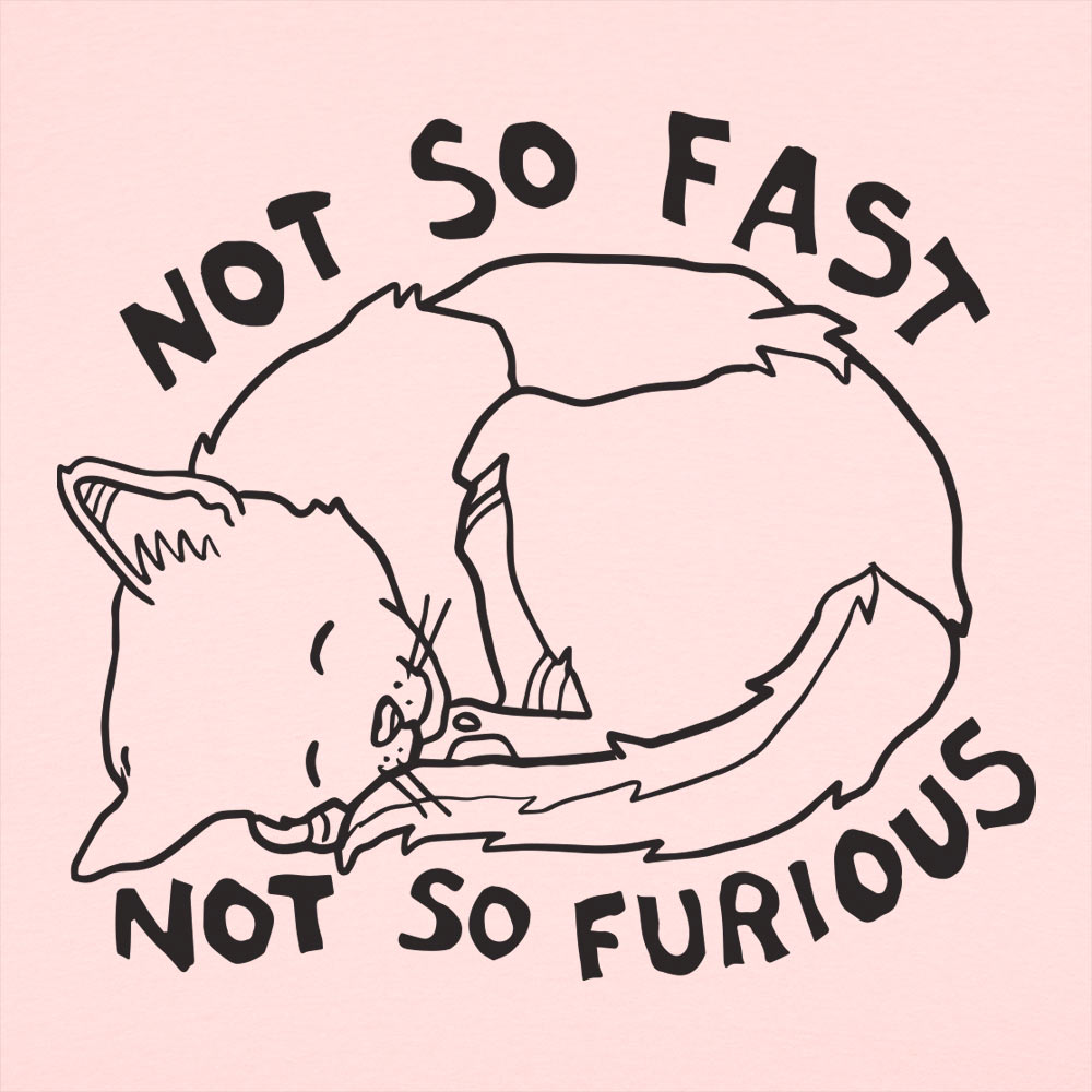Not So Fast Not So Furious Sleeping Cat