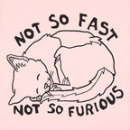Not So Fast Not So Furious Sleeping Cat