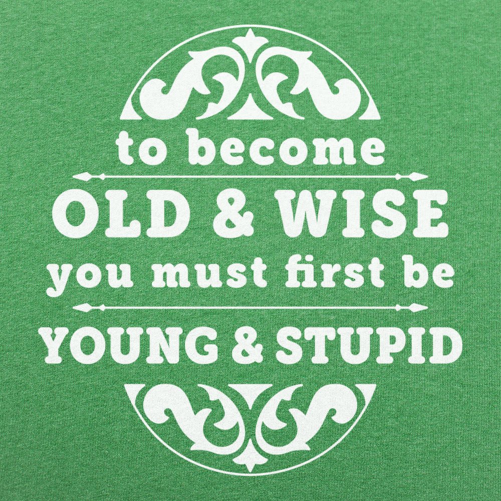 Old and Wise You Must First Be Young and Stupid