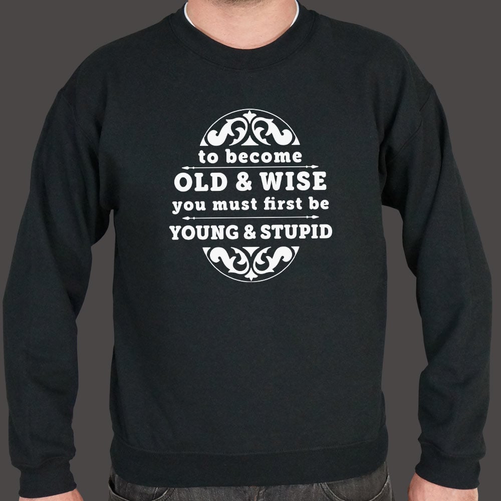 Old and Wise You Must First Be Young and Stupid