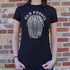 Old Fossil Trilobite Design