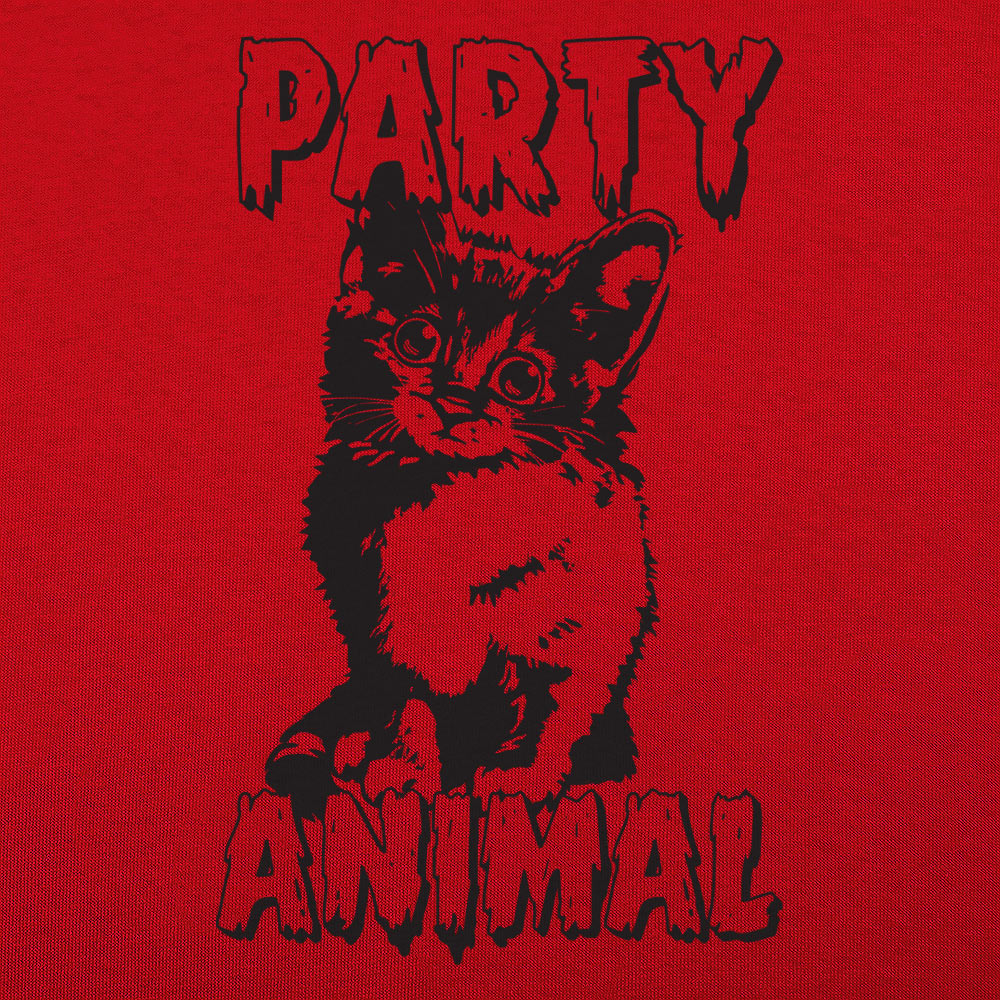 Party Animal Kitten Cat