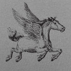 Pegasus Winged Horse Illustration