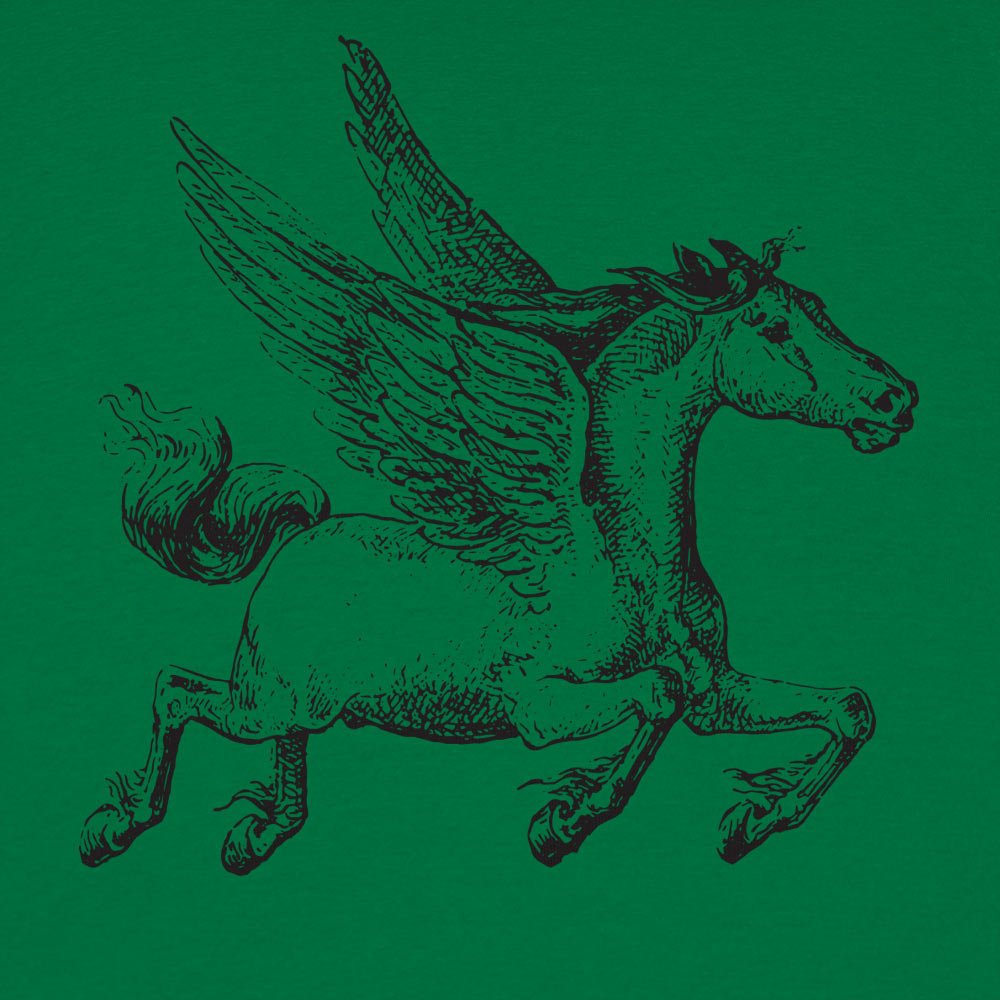 Pegasus Winged Horse Illustration