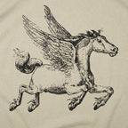 Pegasus Winged Horse Illustration