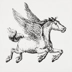 Pegasus Winged Horse Illustration