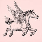 Pegasus Winged Horse Illustration