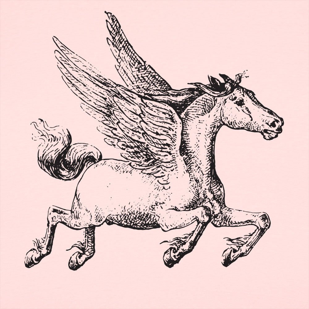 Pegasus Winged Horse Illustration