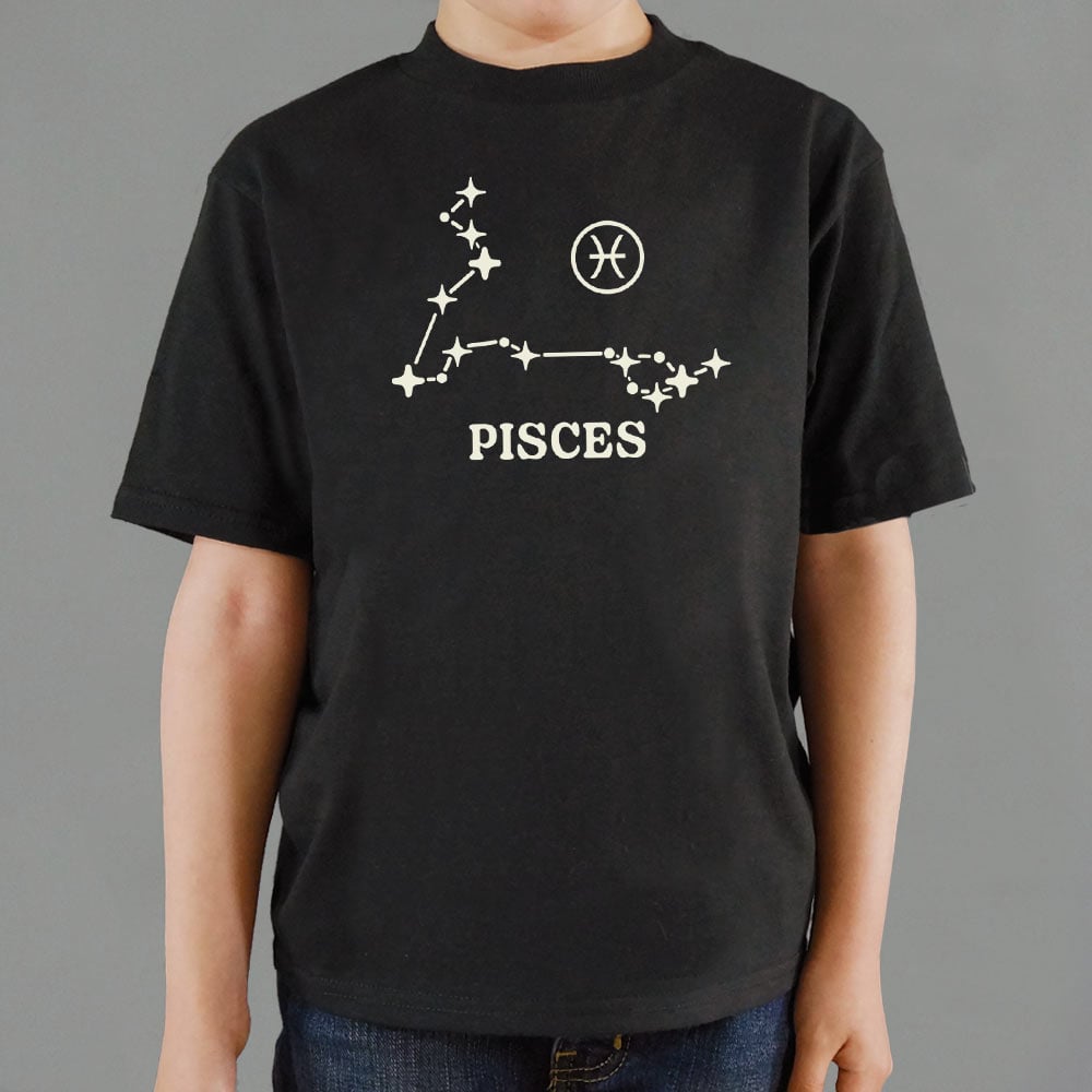 Pisces Constellation Zodiac Sign