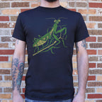 Praying Mantis Graphic