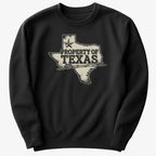 Property of Texas