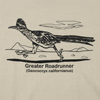 Greater Roadrunner Vintage Desert Bird Illustration