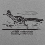 Greater Roadrunner Vintage Desert Bird Illustration