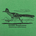 Greater Roadrunner Vintage Desert Bird Illustration