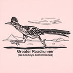 Greater Roadrunner Vintage Desert Bird Illustration