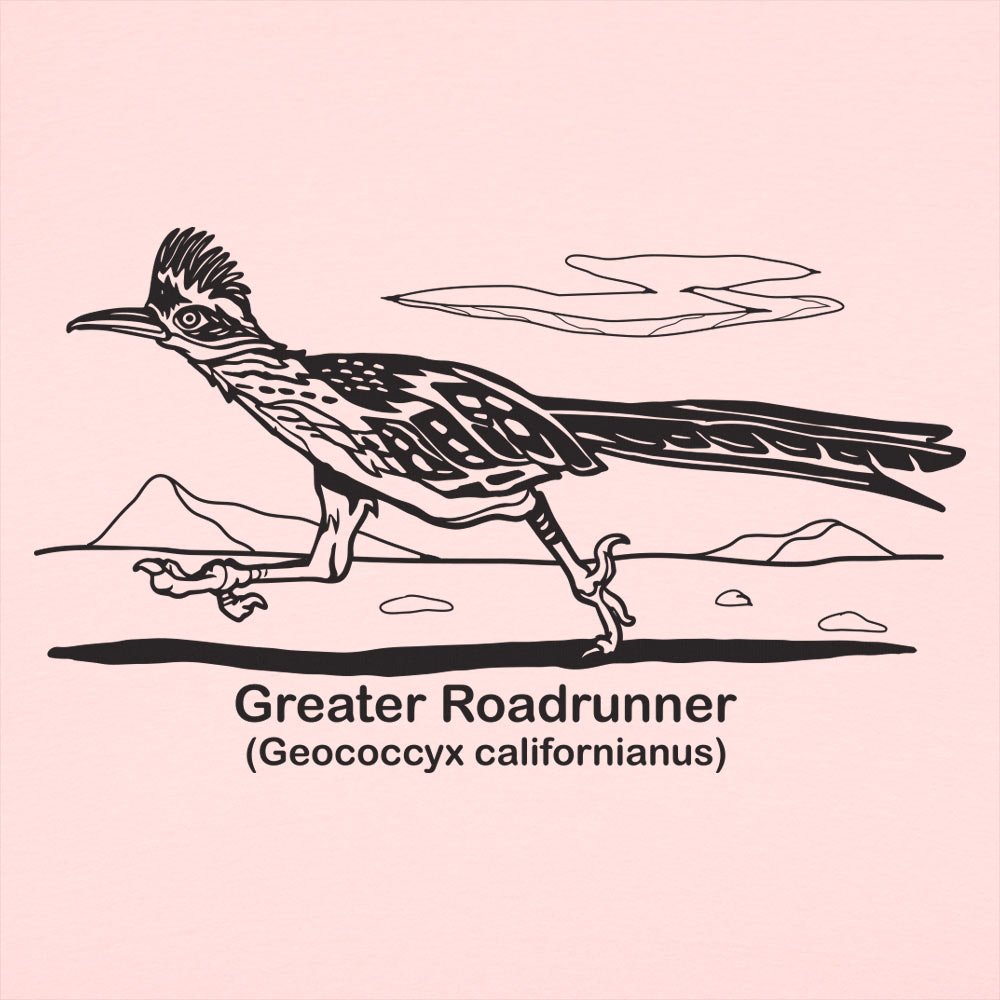 Greater Roadrunner Vintage Desert Bird Illustration