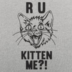 R U Kitten Me Wild Eyed Hissing Cat Face Pun