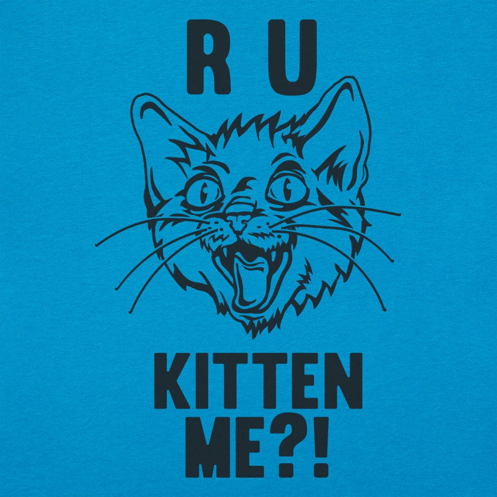 R U Kitten Me Wild Eyed Hissing Cat Face Pun