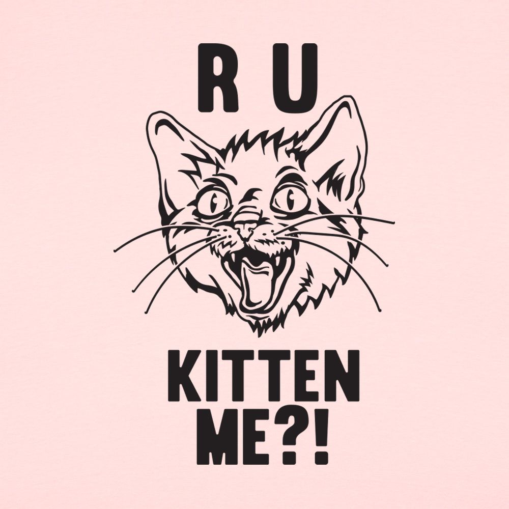 R U Kitten Me Wild Eyed Hissing Cat Face Pun