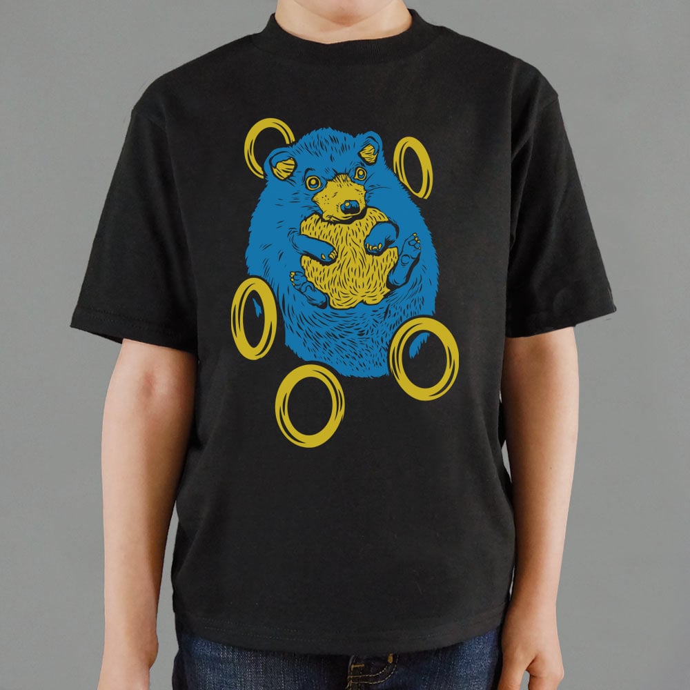 Sad Hedgehog Surrounded by Falling Gold Rings