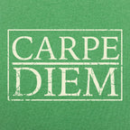 Seize the Day Carpe Diem Quote