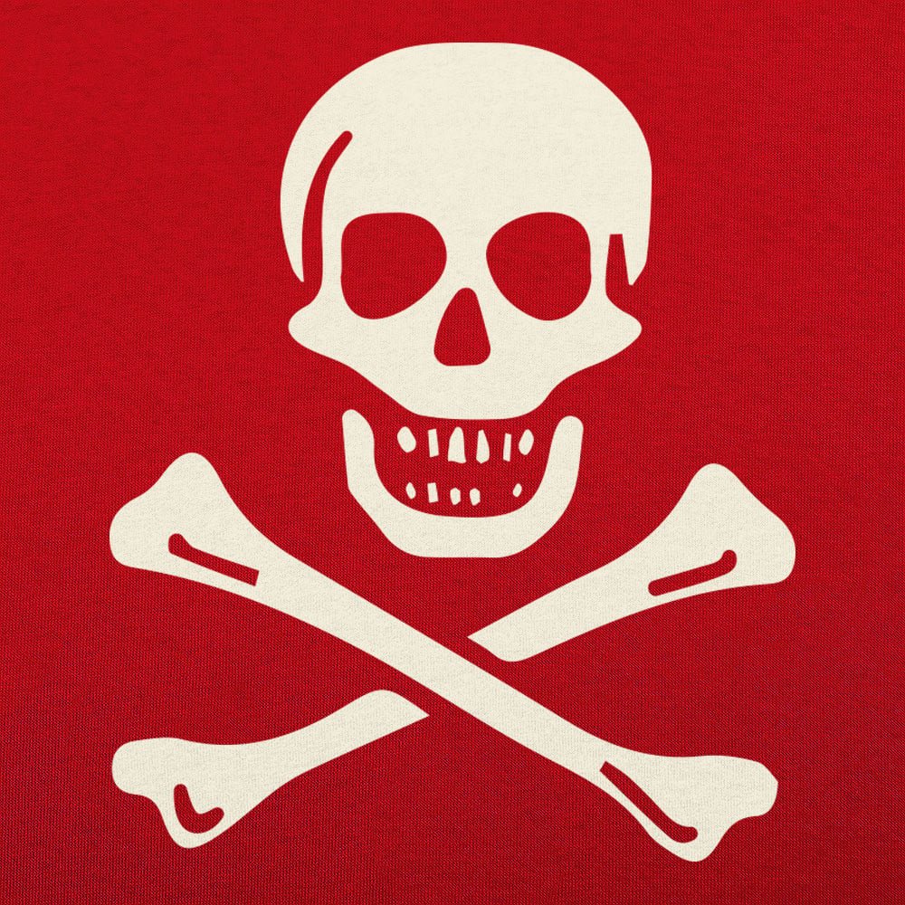 Skull n' Crossbones Jolly Roger Pirate Flag