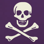 Skull n' Crossbones Jolly Roger Pirate Flag
