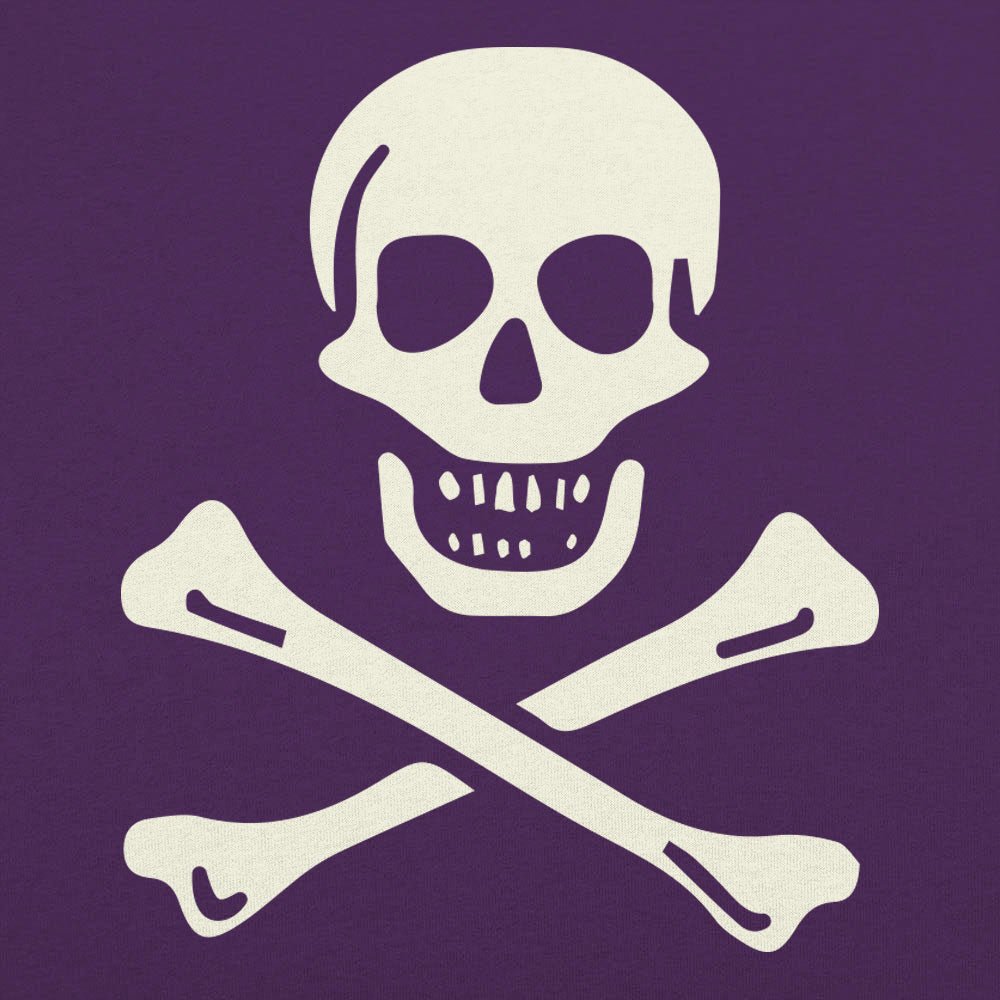 Skull n' Crossbones Jolly Roger Pirate Flag