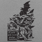 Sleep of Reason Produces Monsters. Goya Art with Owls and Bats