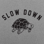 Slow Down Turtle