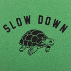 Slow Down Turtle