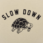 Slow Down Turtle