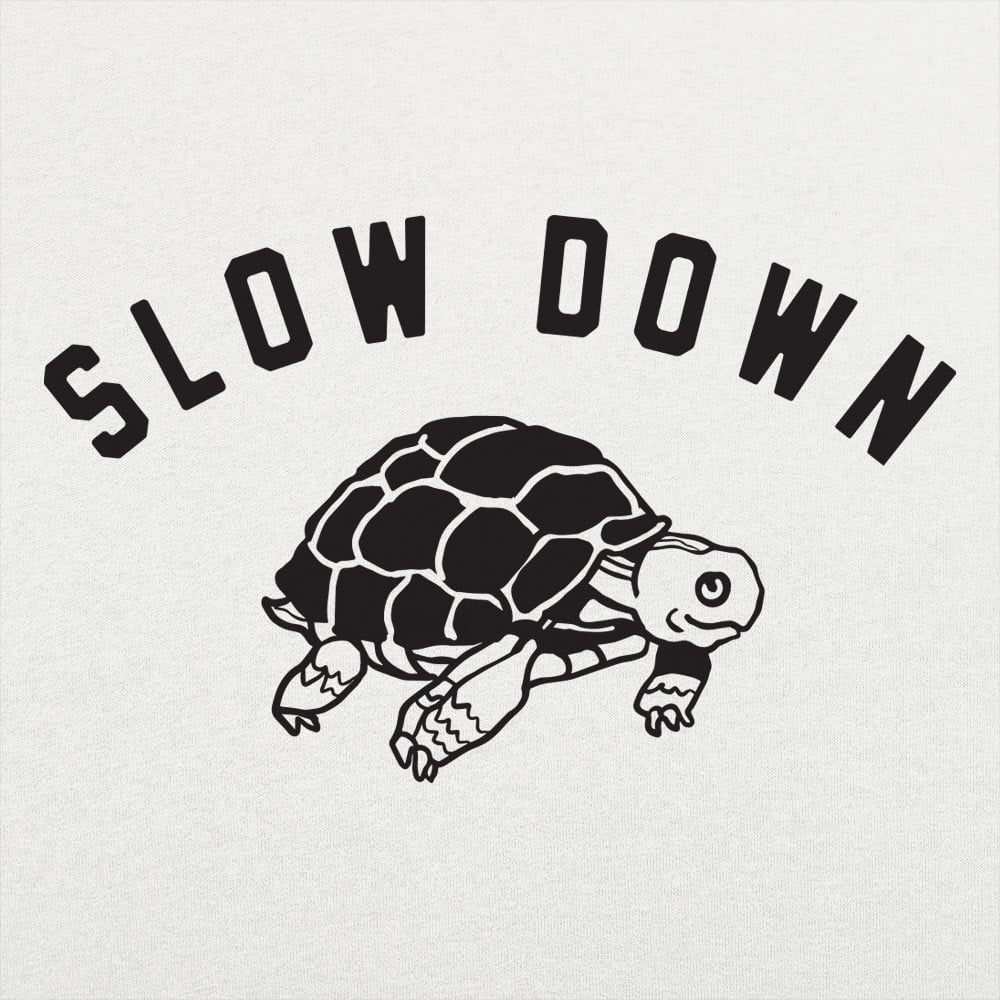 Slow Down Turtle