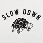Slow Down Turtle