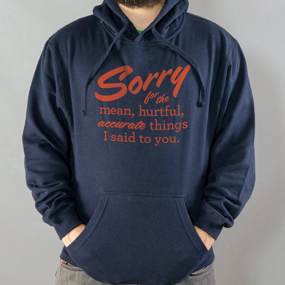 Sorry for the Mean Hurtful Accurate Things I Said to You