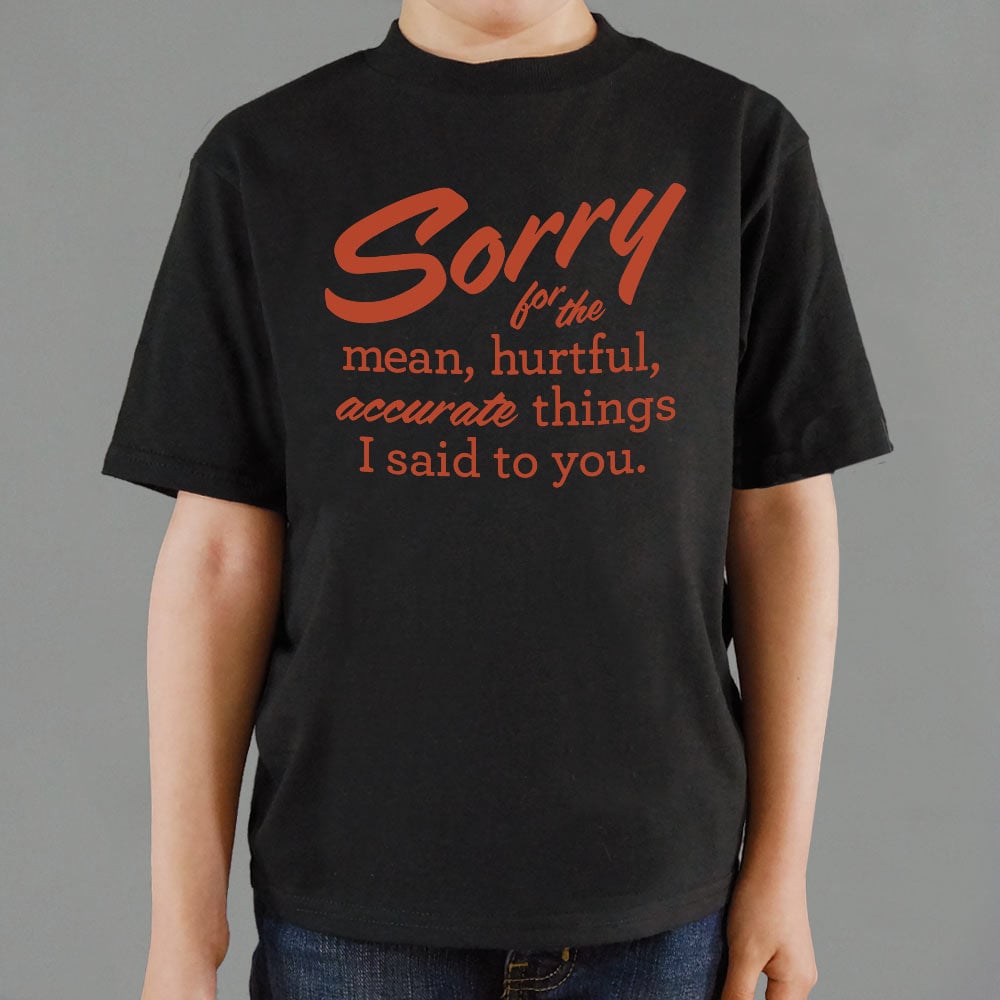 Sorry for the Mean Hurtful Accurate Things I Said to You