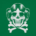 Space Princess Skull and Crossbones Graphic