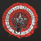 Spider And Star Comic Book Superhero Mashup
