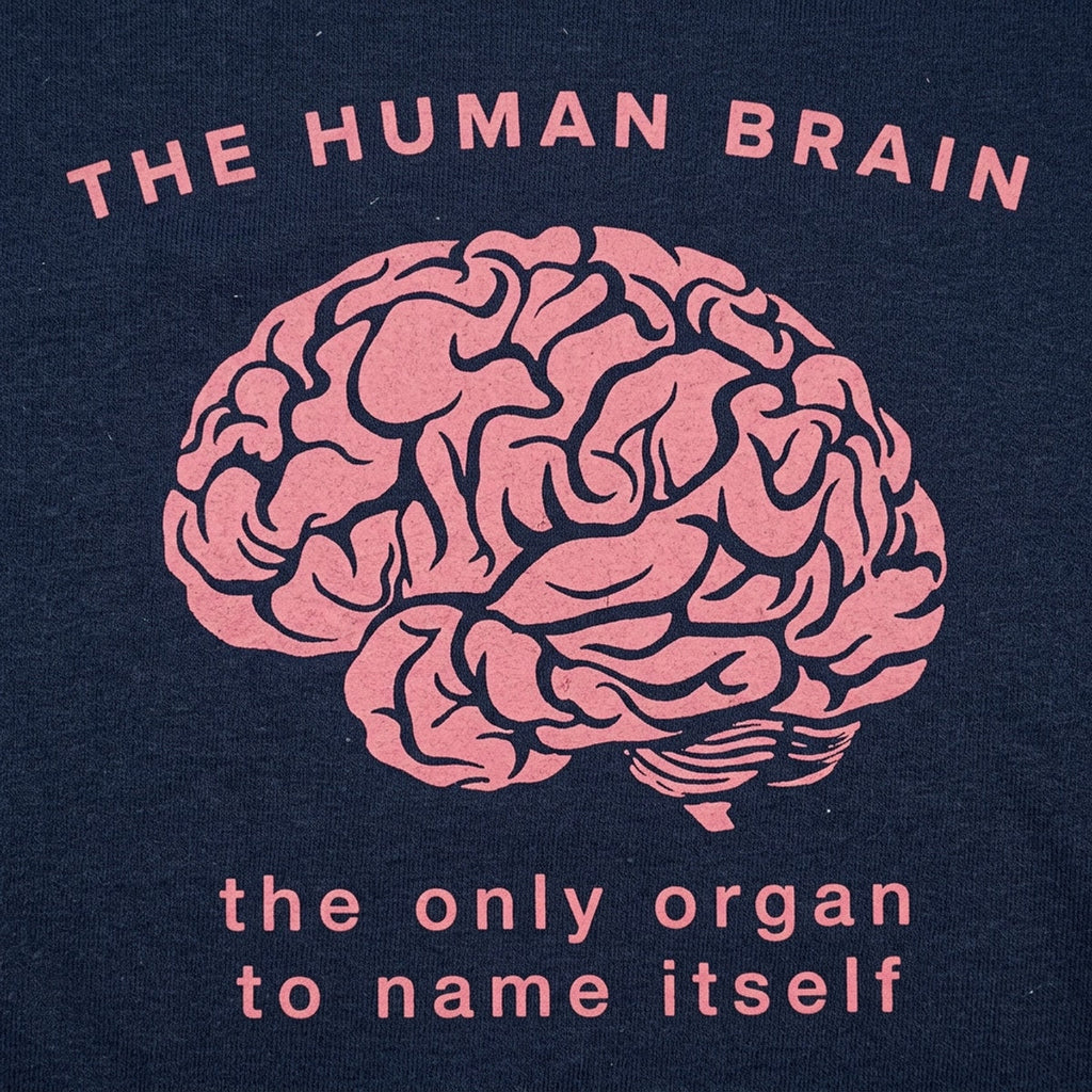 The Human Brain. the Only Organ to Name Itself